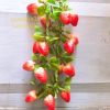 Dây hành tỏi ớt, hoa quả decor trang trí cực đẹp