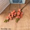 (2 nhánh 10 bông ) CÀNH HOA LAN HỒ ĐIỆP ,BẰNG CAO SU , Tiểu hồ điệp 2 nhánh.. LOẠI XỊN CỰC GIỐNG HOA THẬT