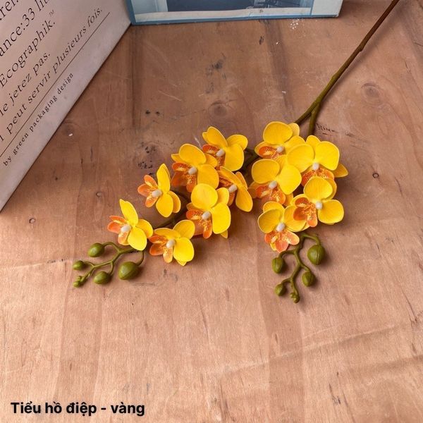 (2 nhánh 10 bông ) CÀNH HOA LAN HỒ ĐIỆP ,BẰNG CAO SU , Tiểu hồ điệp 2 nhánh.. LOẠI XỊN CỰC GIỐNG HOA THẬT