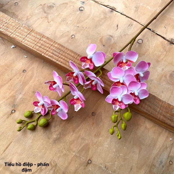 (2 nhánh 10 bông ) CÀNH HOA LAN HỒ ĐIỆP ,BẰNG CAO SU , Tiểu hồ điệp 2 nhánh.. LOẠI XỊN CỰC GIỐNG HOA THẬT