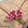 (2 nhánh 10 bông ) CÀNH HOA LAN HỒ ĐIỆP ,BẰNG CAO SU , Tiểu hồ điệp 2 nhánh.. LOẠI XỊN CỰC GIỐNG HOA THẬT