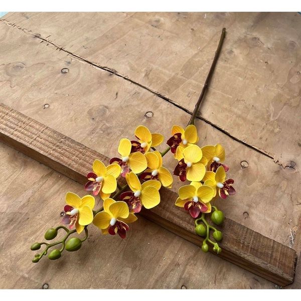 (2 nhánh 10 bông ) CÀNH HOA LAN HỒ ĐIỆP ,BẰNG CAO SU , Tiểu hồ điệp 2 nhánh.. LOẠI XỊN CỰC GIỐNG HOA THẬT