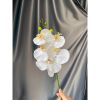 Cành hoa lan hồ điệp 5 bông cao su - decor trang trí tuyệt đẹp và cực sang