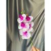 Cành hoa lan hồ điệp 5 bông cao su - decor trang trí tuyệt đẹp và cực sang