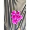 Cành hoa lan hồ điệp 5 bông cao su - decor trang trí tuyệt đẹp và cực sang
