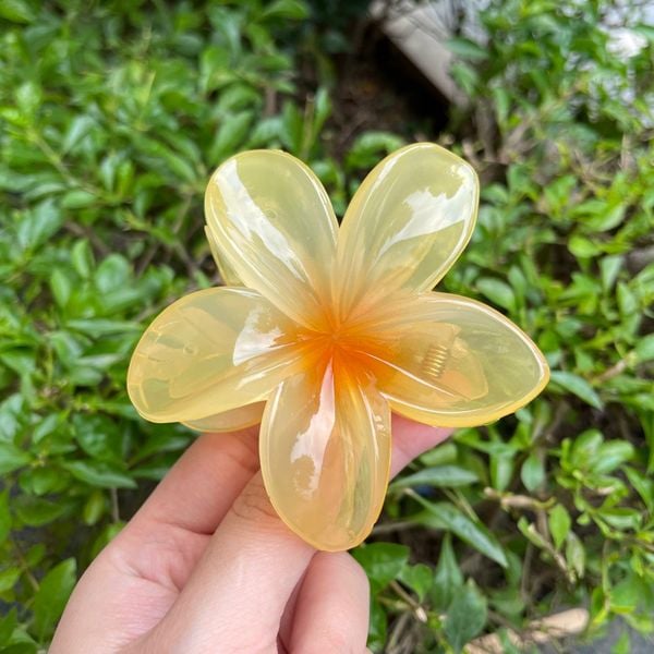 Cặp tóc hoa sứ ,kẹp tóc hoa mai nhiều màu sắc ,kẹp tóc đi biển siêu xinh
