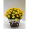 Chậu hoa - Chậu hoa tú cầu thắt nơ - Chậu hoa giả để bàn, Decor trang trí nhà cửa