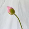 HOA SEN GIẢ , hoa giả , Hoa Sen Bách Diệp Quan Âm - Bông Sen Chất Liệu Lụa Đẹp Cao Cấp
