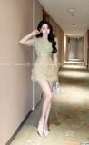  Váy Ren Nhũ Cao Cấp Lót Lụa V1359 