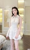 Váy Ren Hoa Cao Cấp V1304 