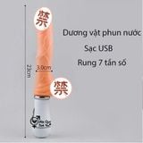  Dương vật giả bắn tinh cầm tay giá rẻ dùng sạc USB 