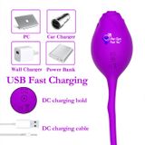  Trứng rung hoa hồng 2 đầu cao cấp rung hút điểm G 10 chế độ 