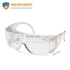 Kính bảo hộ Bảo Bình 801