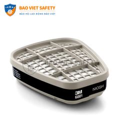 Phin bảo hộ 3M 6001