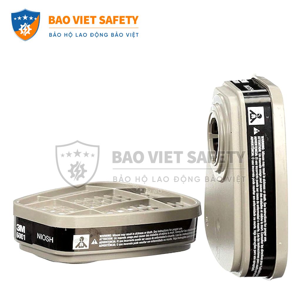 Phin bảo hộ 3M 6001