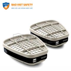 Phin bảo hộ 3M 6001