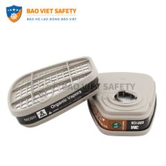 Phin bảo hộ 3M 6001