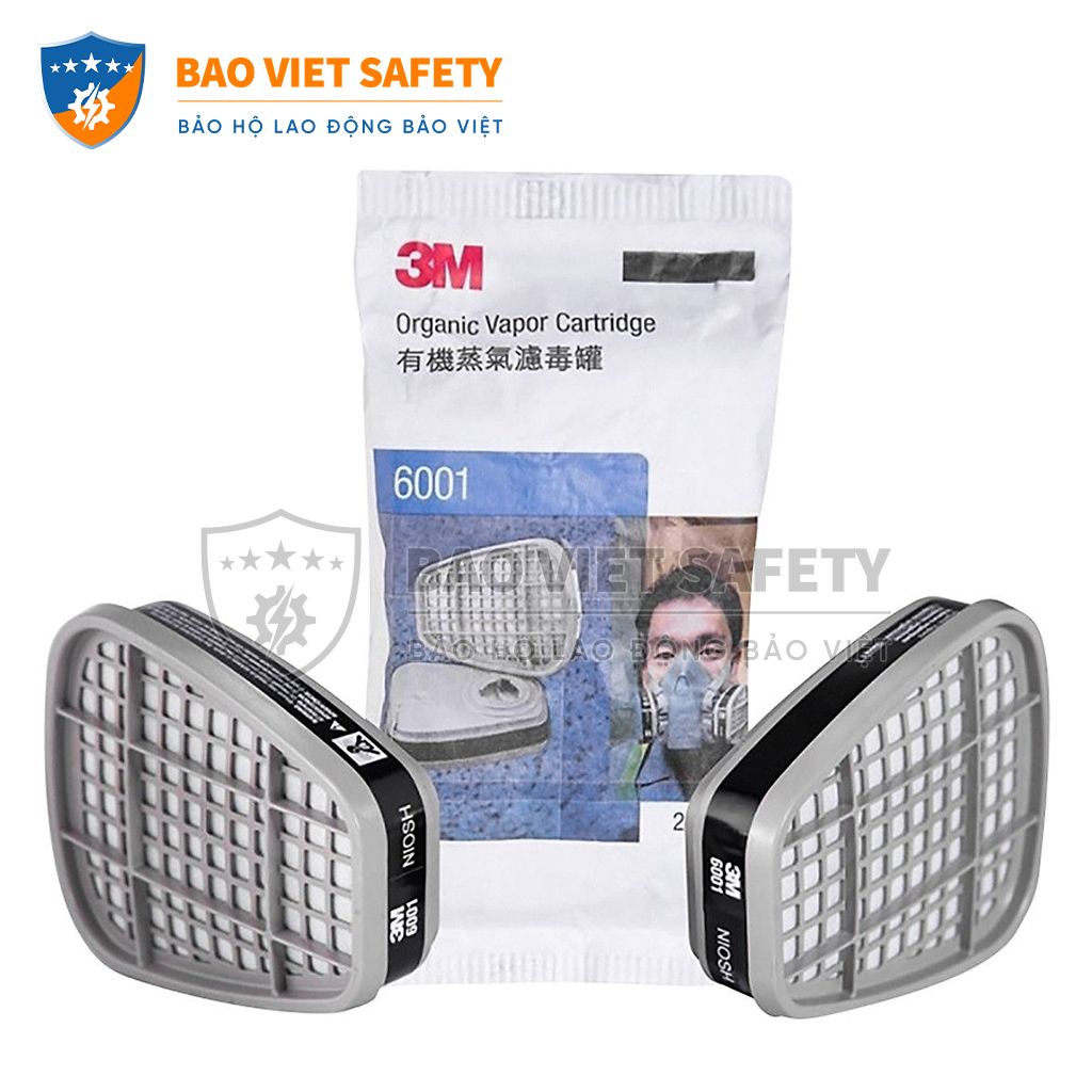Phin bảo hộ 3M 6001