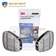 Phin bảo hộ 3M 6001