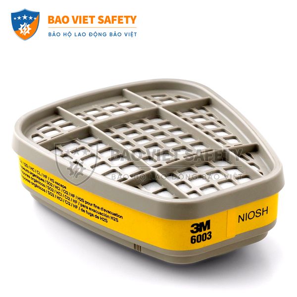 Phin bảo hộ 3M 6003