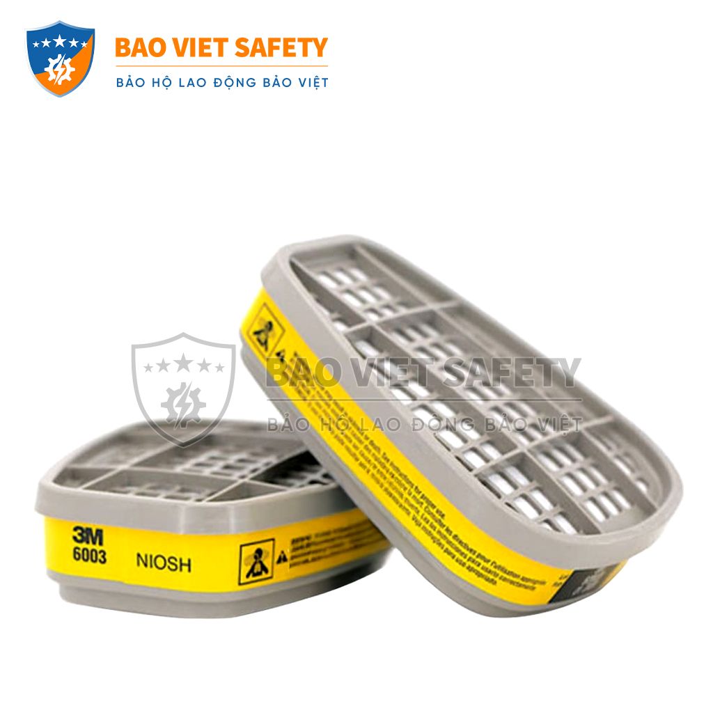 Phin bảo hộ 3M 6003