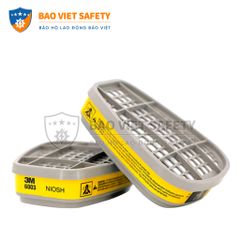 Phin bảo hộ 3M 6003
