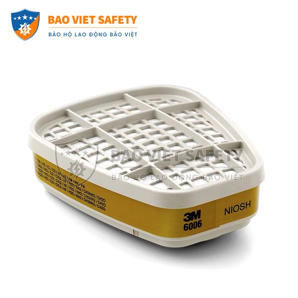 Phin bảo hộ 3M 6006