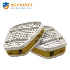 Phin bảo hộ 3M 6006