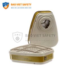 Phin bảo hộ 3M 6006
