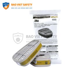 Phin bảo hộ 3M 6006