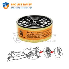 Phin bảo hộ Blue Eagle RC203