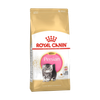 Thức Ăn Hạt Cao Cấp Cho Mèo Con Royal Canin Persian Kitten 