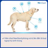  Viên Nhai NexGard Trị Ve, Bọ Chét & Ghẻ Cho Chó 
