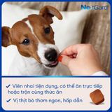  Viên Nhai NexGard Trị Ve, Bọ Chét & Ghẻ Cho Chó 