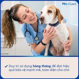  Viên Nhai NexGard Trị Ve, Bọ Chét & Ghẻ Cho Chó 