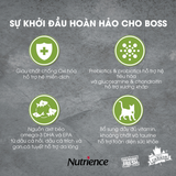  Thức ăn Hạt cho Chó Con và Mèo Con Dưới 12 Tháng Tuổi Nutrience Infusion vị Thịt Gà và Rau Củ Quả Tự Nhiên túi 0.5kg 