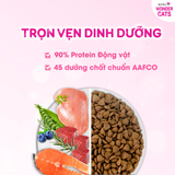  Thức ăn Hạt cho Mèo Mọi Lứa Tuổi WONDER CATS túi 1kg 