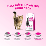  Thức ăn Hạt cho Mèo Mọi Lứa Tuổi WONDER CATS túi 1kg 