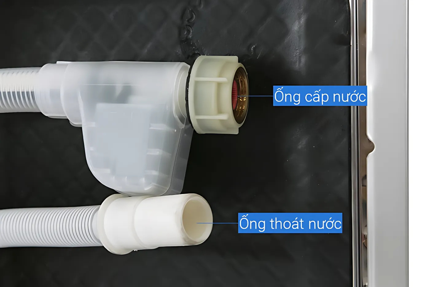 Máy Rửa Bát Độc Lập Bosch SMS2IVI61E Series 2