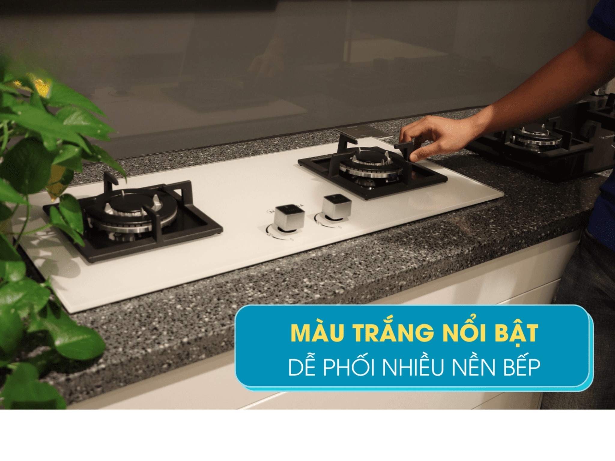 Bếp Gas Malloca AS 9502W (Màu Trắng) - Bếp Âm 02 Vùng Nấu