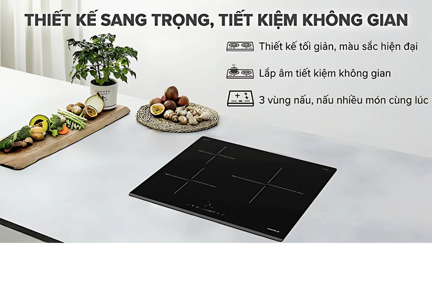 Bếp từ Hafele HC-I6030B