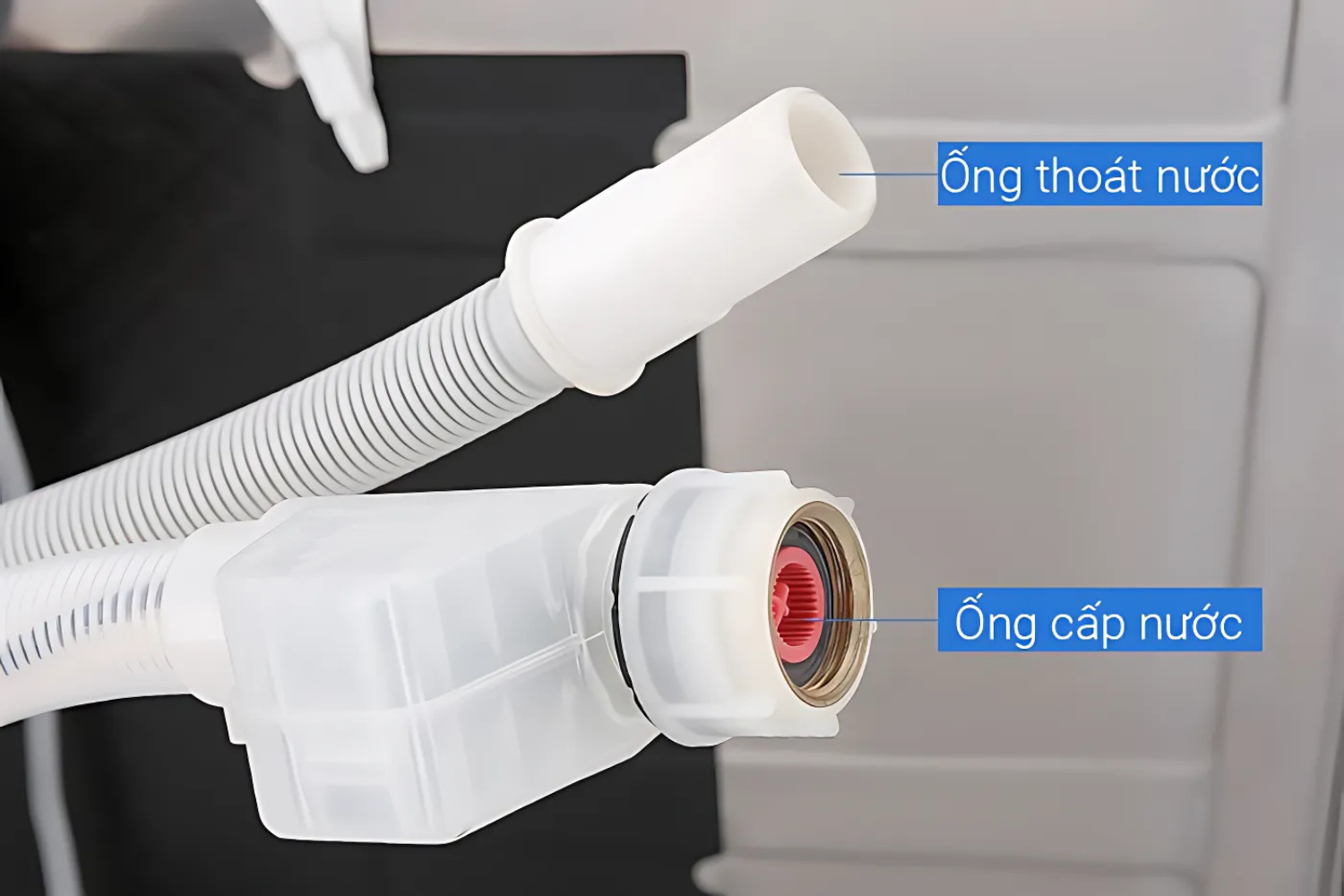 Máy Rửa Bát Độc Lập Bosch SMS63L08EA Series 6