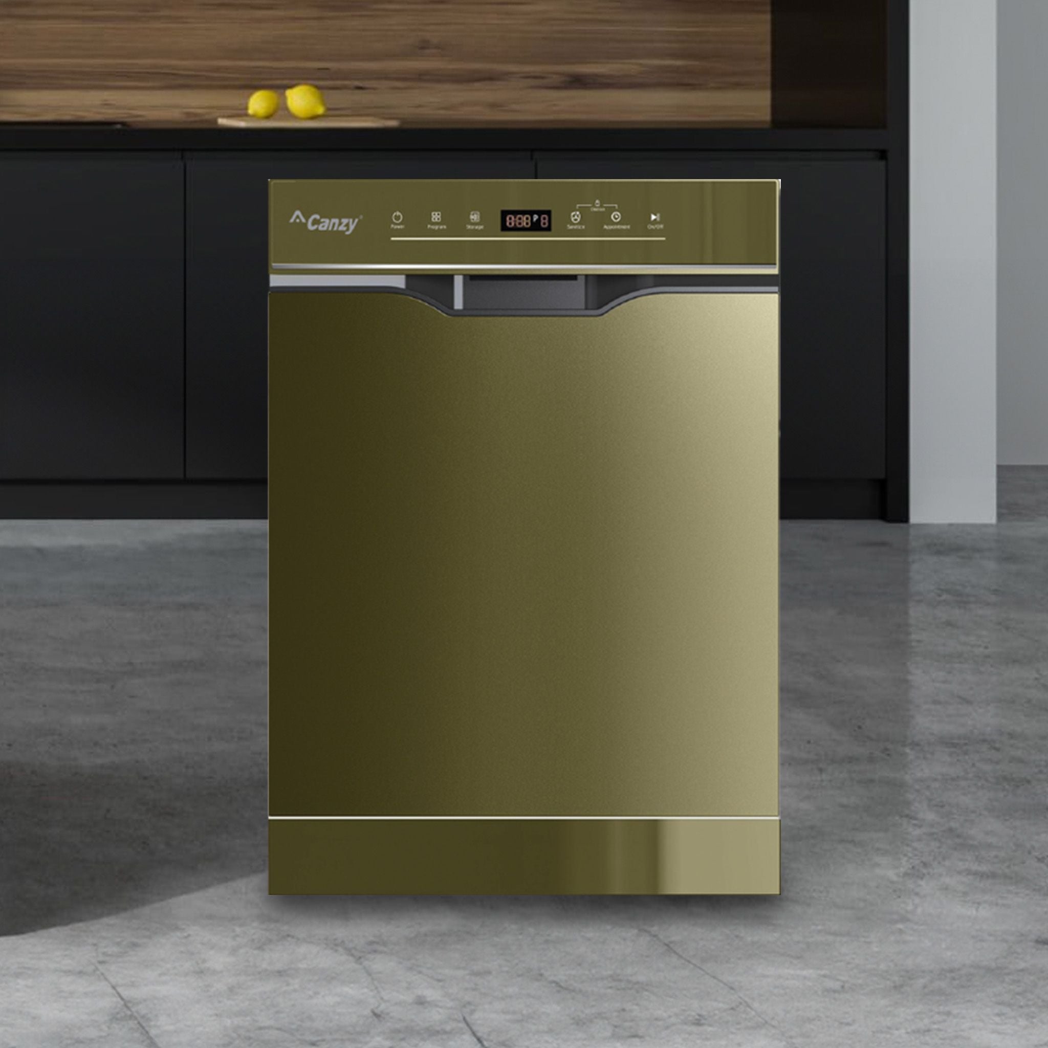 Máy Rửa Bát Độc Lập Canzy CZ P1036R