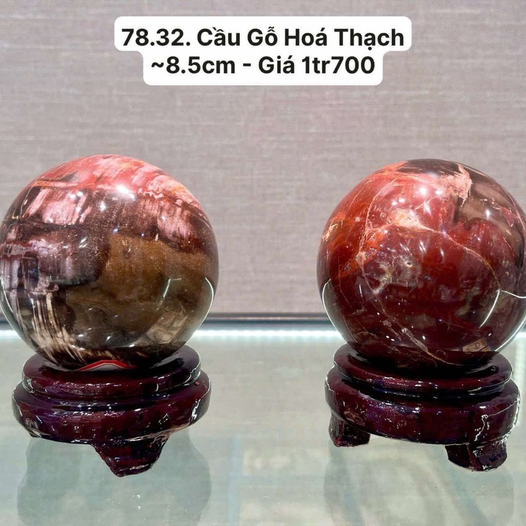 Cầu Gỗ Hoá Thạch ~8.5cm - 78.32