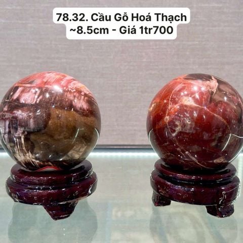 Cầu Gỗ Hoá Thạch ~8.5cm - 78.32