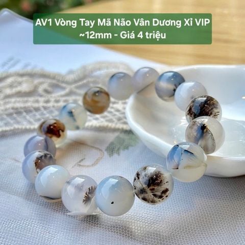 Vòng Tay Ngọc Tuỷ Chalcedony Vân Dương Xỉ VIP  ~12mm AV1
