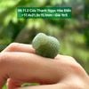 Cừu Thanh Ngọc Hòa Điền ~17,4x21,9x15,1mm 86.11.2