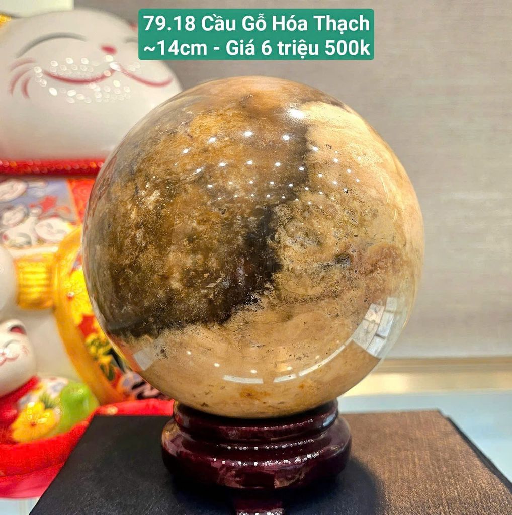 Cầu Gỗ Hóa Thạch Chalcedony 79.18