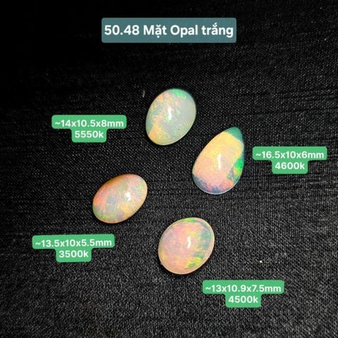 Mặt Opal Trắng 50.48