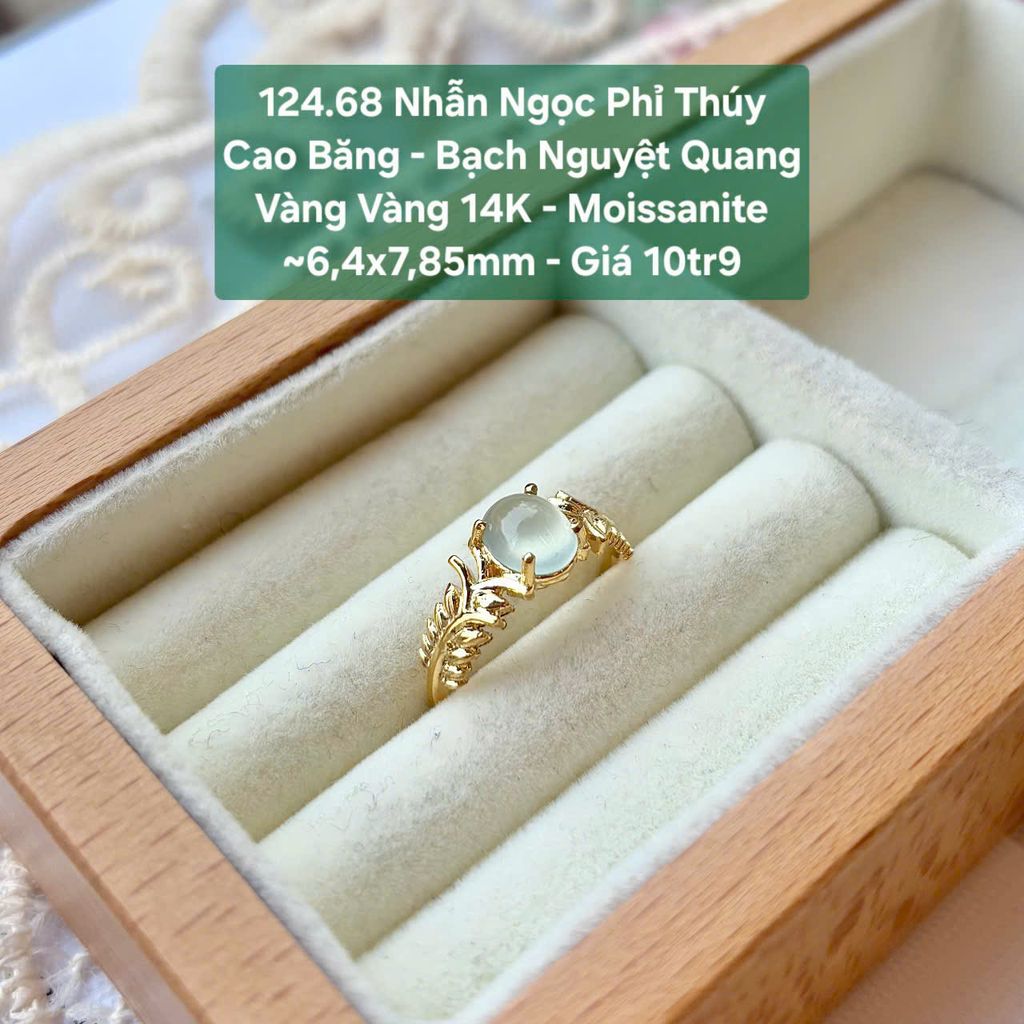 Nhẫn Ngọc Phỉ Thúy Cao Băng - Bạch Nguyệt Quang Vàng Vàng 14K - Moissanite 6.4x7.8mm 124.68